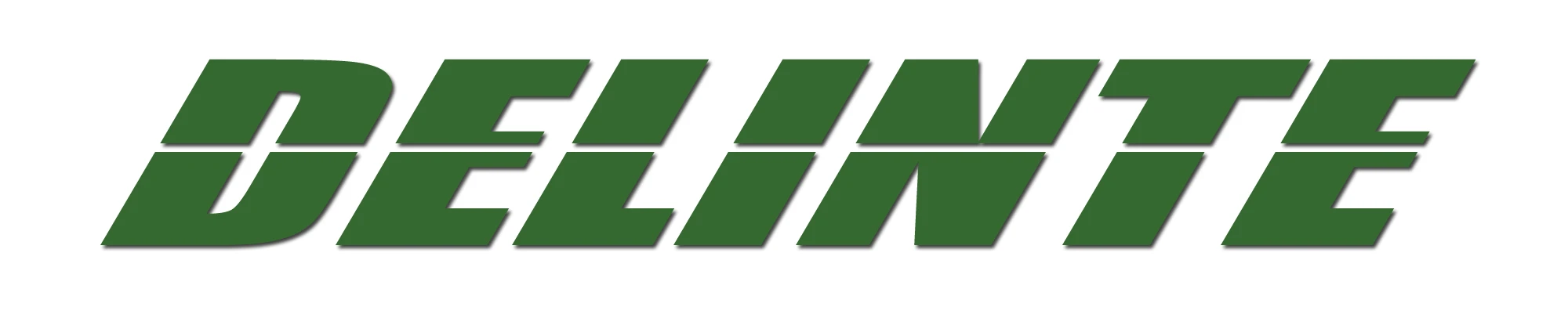 Delinte Logo