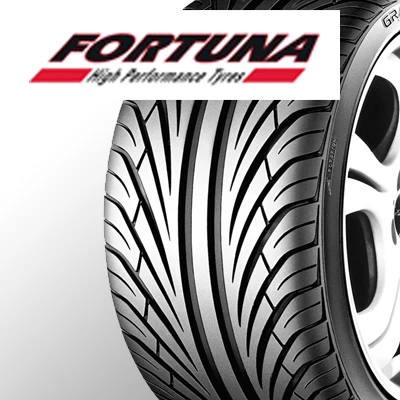 Fortuna Brand Image