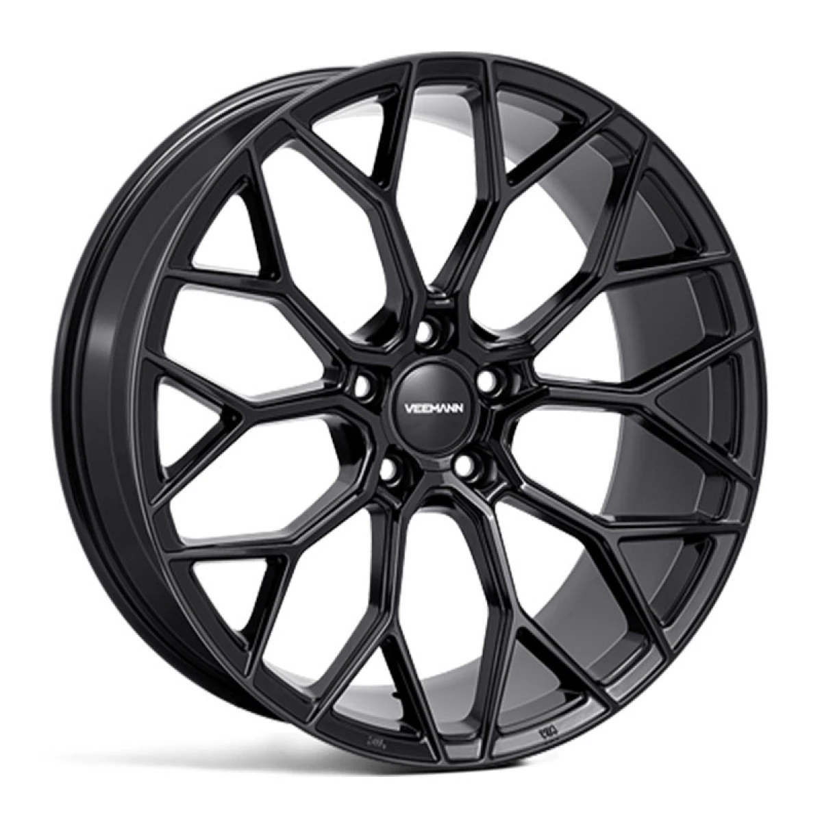 V-FS66