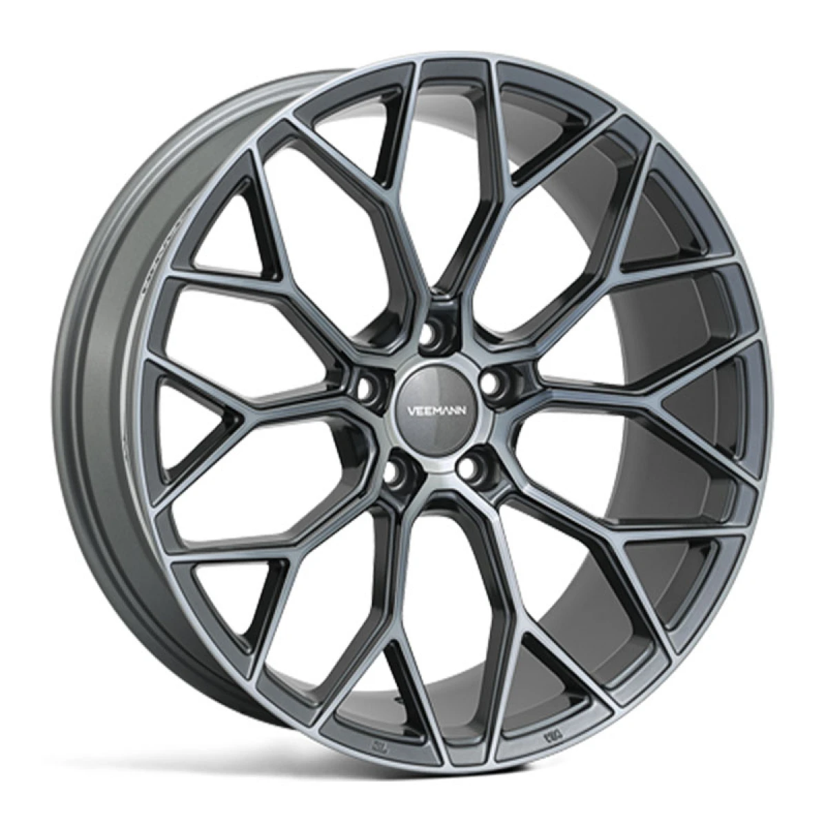 V-FS66