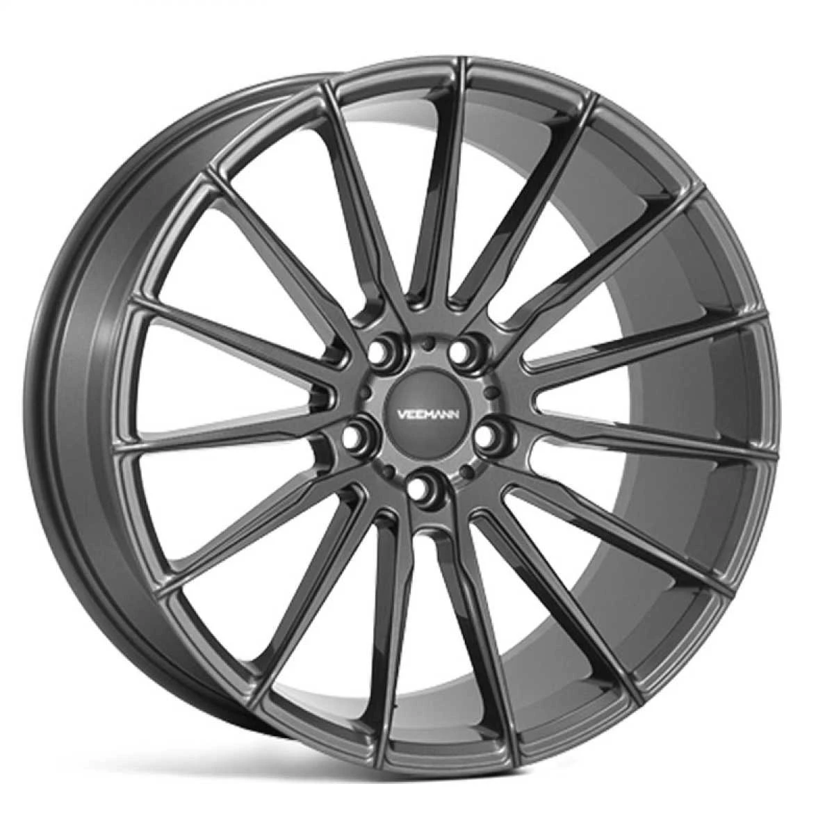 V-FS19