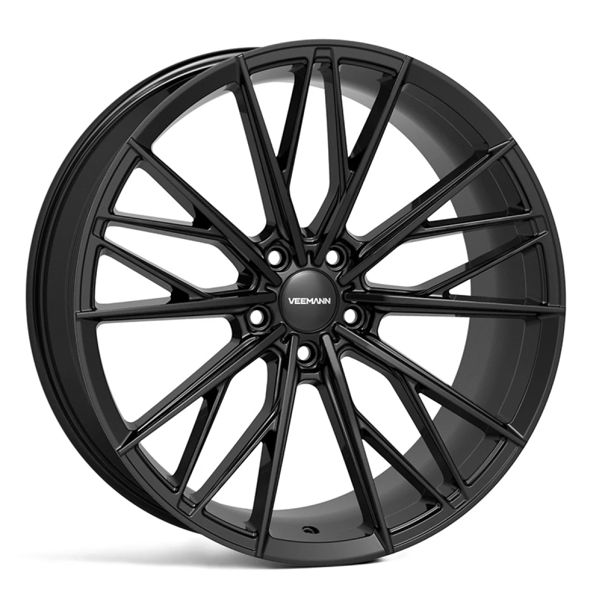 V-FS60