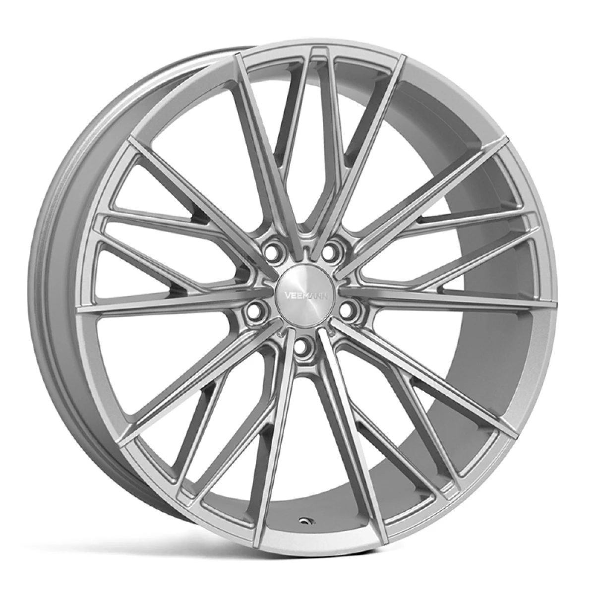 V-FS60
