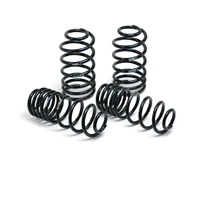 Lowering Springs